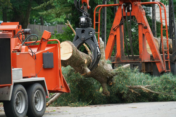 Best Grass Overseeding  in Malvern, PA